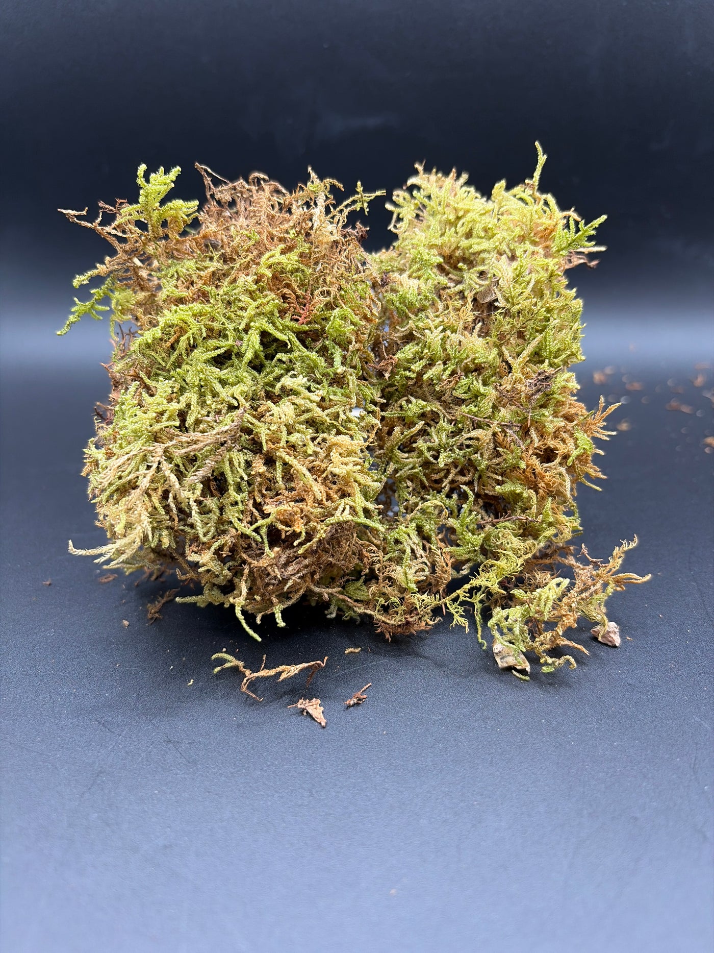 Moss Pack — Buddy Add-on