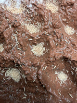 Temperate Springtail Master Culture with Clay (Folsomia candida)