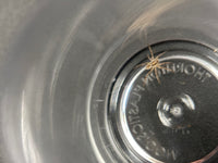 Carolina Wolf Spider (Hogna carolinensis) spiderling near the rim of its clear rearing cup