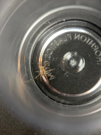 Carolina Wolf Spider (Hogna carolinensis) spiderling on the base of its clear rearing cup, legs spread