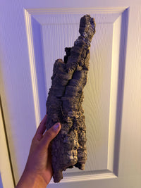 Cork Bark Tube