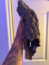 Cork Bark Tube