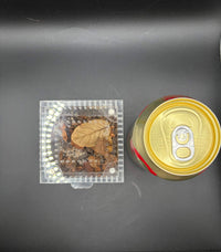 Baby Buddy Starter Kit, image 3