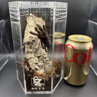 Bark Buddy Starter Kit, image 3