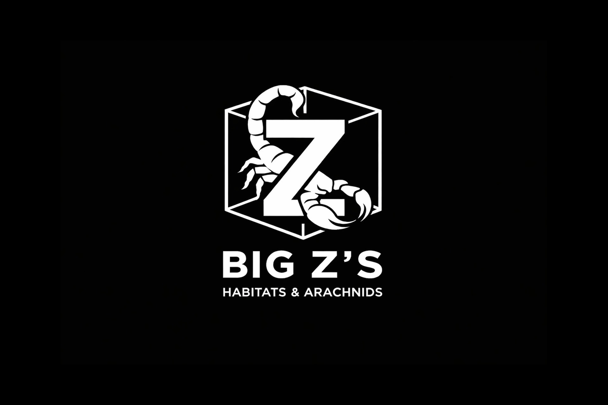 Big Z's Habitats and Arachnids | Arachnids & Enclosures