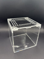 4 x 4 x 4 in Burrow Buddy Acrylic Enclosure, 3 mm