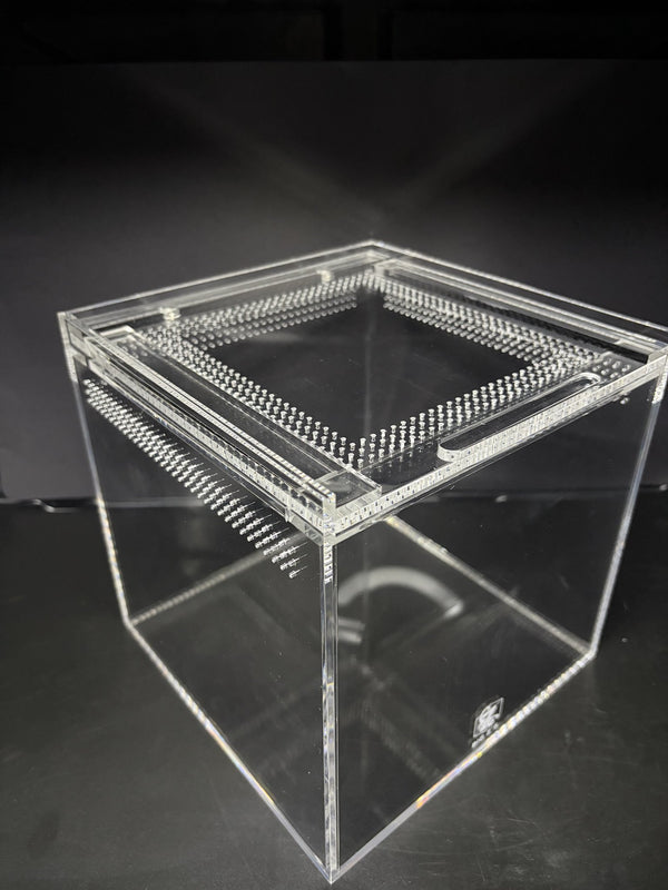 Burrow Buddy Acrylic Enclosure, 8 x 8 x 8 in clear acrylic enclosure with ventilated locking lid
