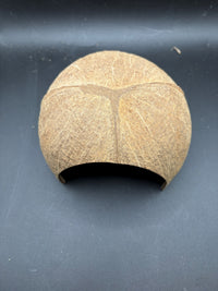 Coconut Hide, back view