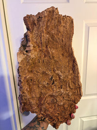 Cork Bark - Large Flat