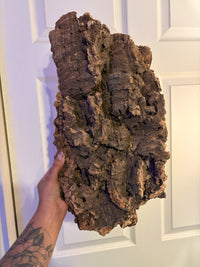 Cork Bark - Large Flat, alternate piece