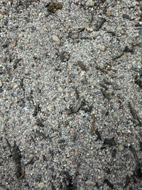 Desert Burrow Mix, image 2