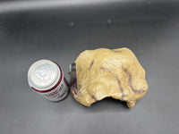 Repti Zoo medium hide cave EHR07M, overhead with soda can for scale