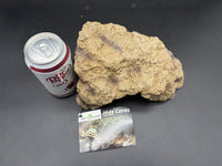 Repti Zoo medium corner hide EHR08M, overhead with soda can for scale