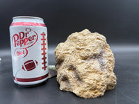 Repti Zoo medium corner hide EHR08M, side profile with soda can for scale