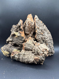 Vertical Cork Bark · Buddy Add-on, image 2