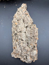 Vertical Cork Bark · Buddy Add-on, image 3