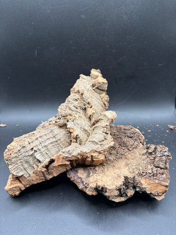 Vertical Cork Bark · Buddy Add-on