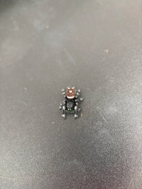 Jumper 004, Regal Jumping Spider (Phidippus regius), overhead view of abdominal markings