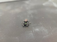 Jumper 004, Regal Jumping Spider (Phidippus regius), front view showing green chelicerae