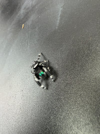 Jumper 007, Regal Jumping Spider (Phidippus regius), angled view showing white markings on the black body