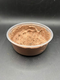 Temperate Springtail Master Culture with Clay, Folsomia candida, image 6