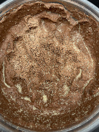 Temperate Springtail Master Culture with Clay, Folsomia candida, image 2