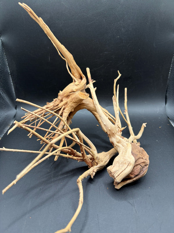 Spiderwood Branch