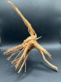 Spiderwood Branch