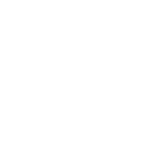 Big Z's Habitats and Arachnids logo mark